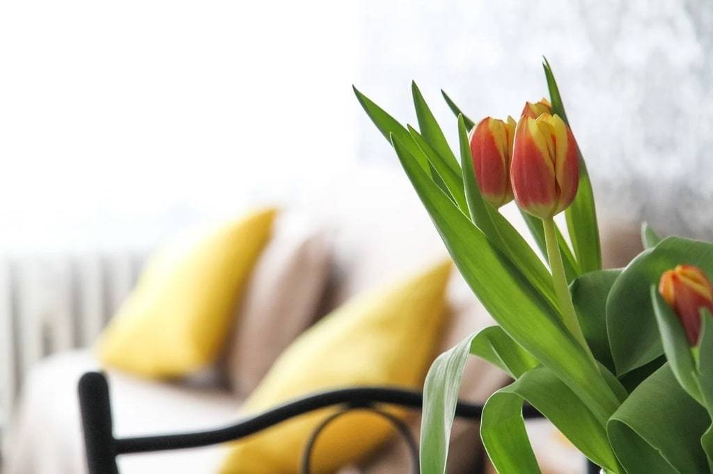 Le design durable : allier esthétique et écologie chez soi